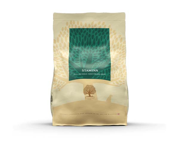 Essential Stamina 2,5 kg